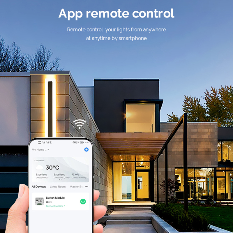 DIY  Wifi Smart Dimmer Switch  - Tuya Wifi Socket recension och pris