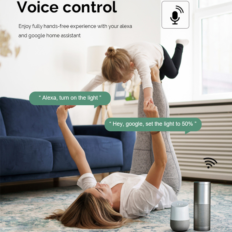 DIY  Wifi Smart Dimmer Switch  - Tuya Wifi Socket recension och pris