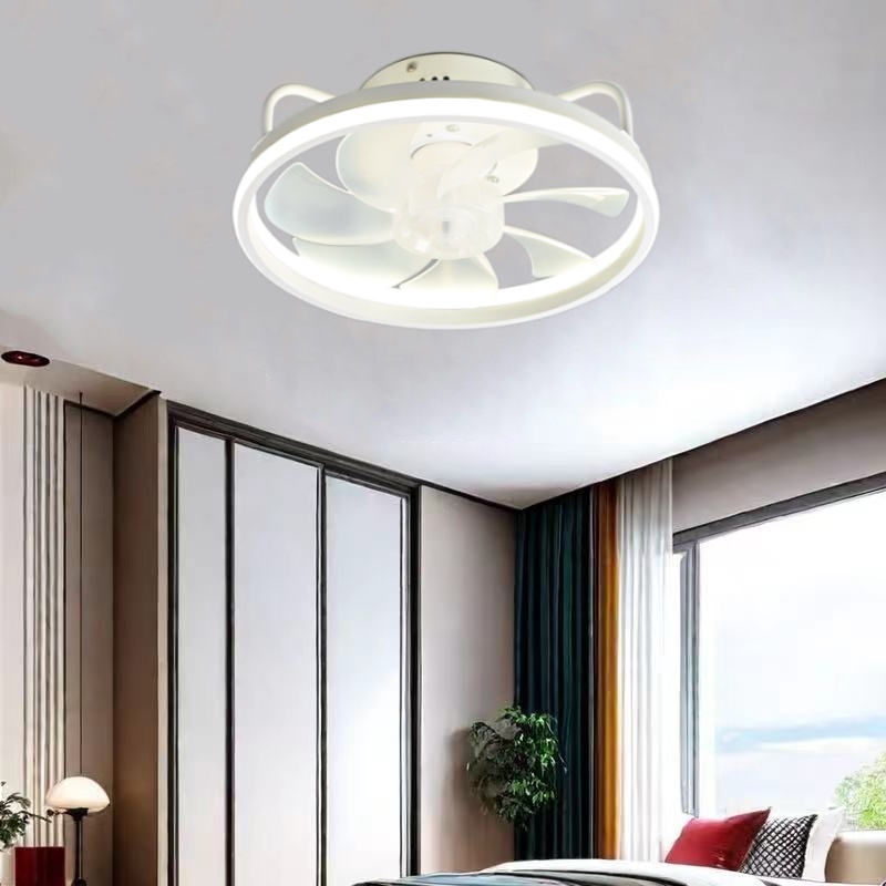 2 in 1 Modern Smart Ceiling Fa - Smart Ceiling Fan recension och pris