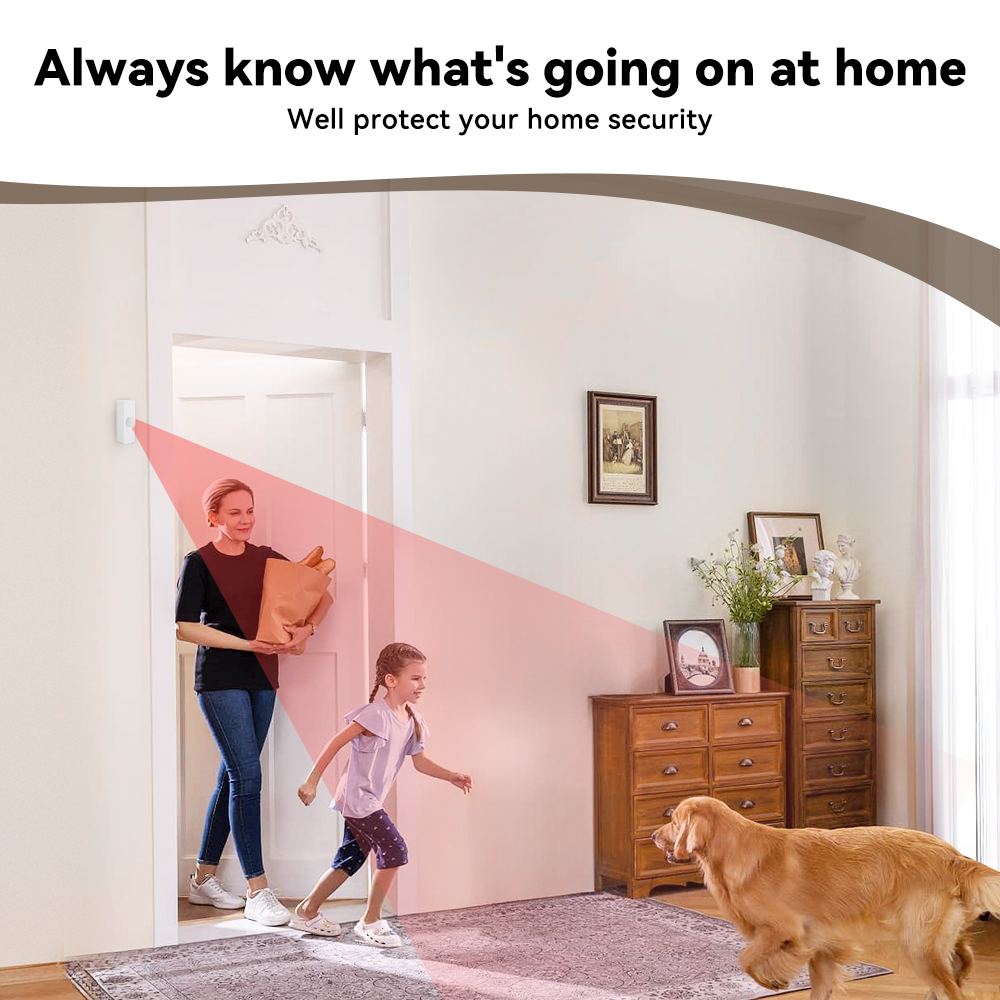 Tuya Smart PIR Motion Sensor S - Pir Motion Sensor recension och pris