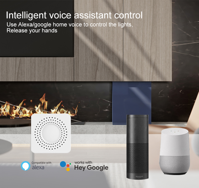 Tuya Mini Smart Switch WiFi 1- - Tuya Wifi Socket recension och pris